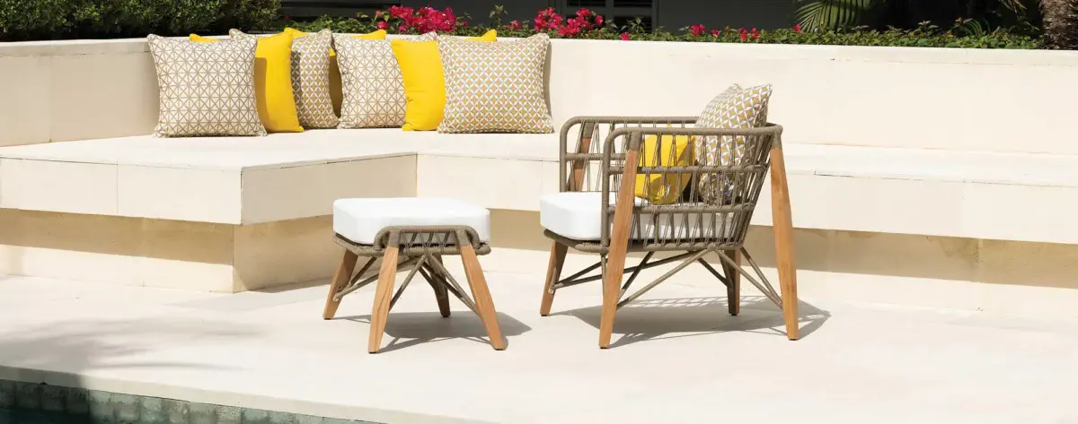 zebrano pimlico 2 1